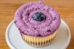 Blueberry Cheesecake Cupcake