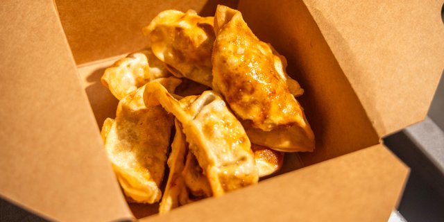 Pan-Fried Dumplings