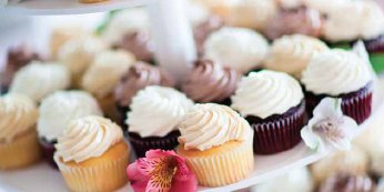 Mini Cupcakes