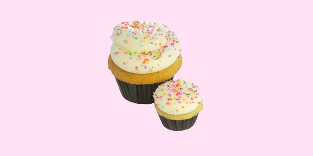 2 Dozen Gluten-Free Babybite Cupcakes