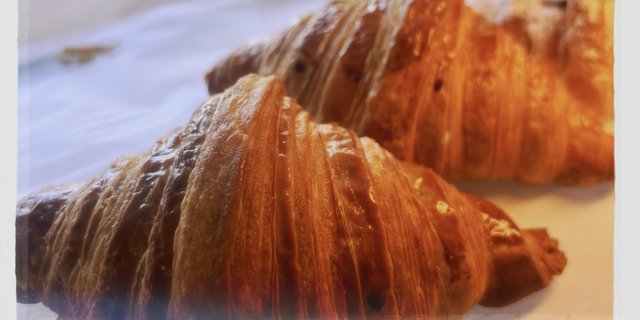 Plain Croissant