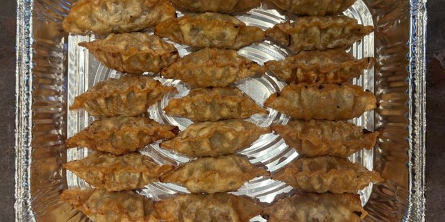 Fried Meat Dumplings