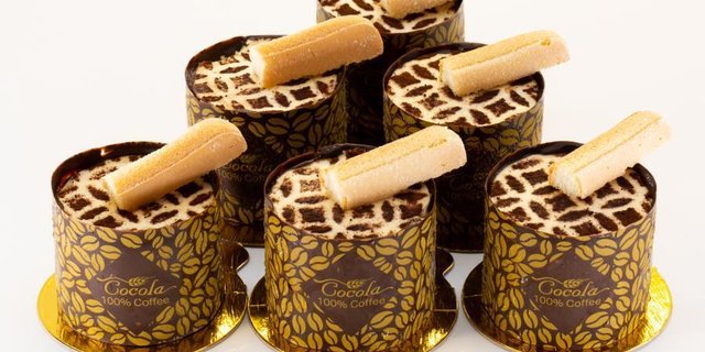 Individual Tiramisu