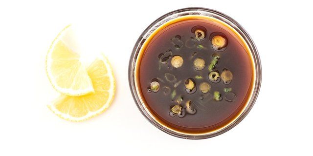 Ponzu Fresh Sauce