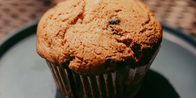 Assorted Muffins
