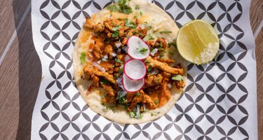 Suculenta Cocina Mexicana