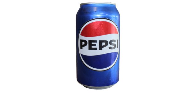 Assorted Individual Sodas