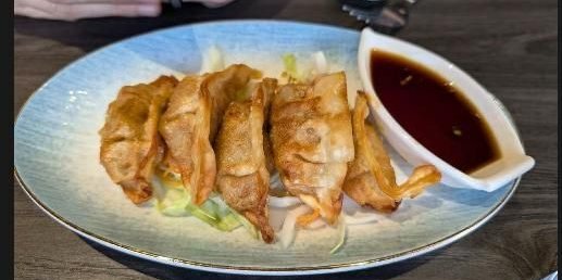 Gyoza Tray