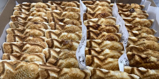 Croissant Taiyaky