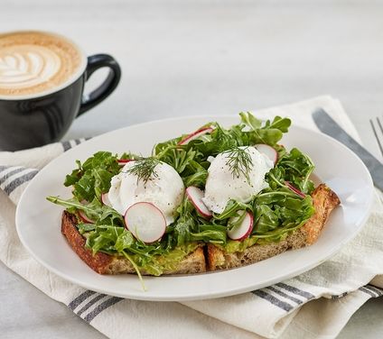 Avocado Tartine