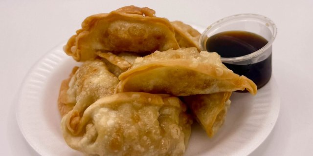 Fried Pork Dumplings