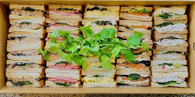 Sandwich Tray