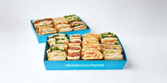 Large Sandwich Tray