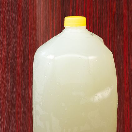 Gallon Lemonade