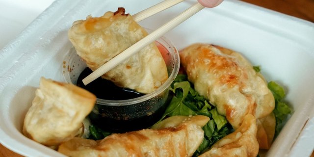 Pork Gyoza