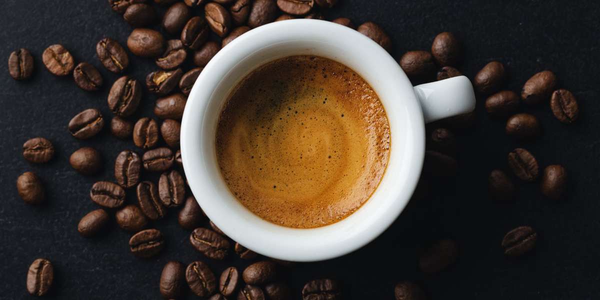 Chocolate Fish Coffee Roasters