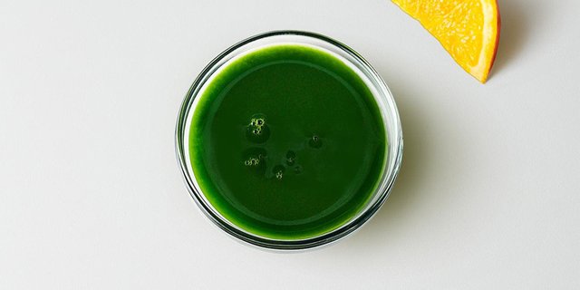 10-Pack Wellness Shots