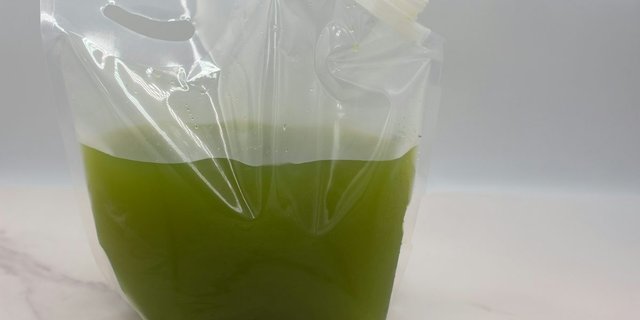 Herbal Limeade Gallon
