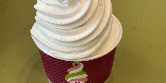 No Topping Frozen Yogurt