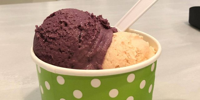Two-Scoop Ice Cream
