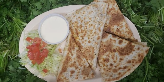 Quesadilla Especial