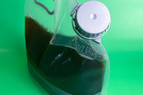 House-Brewed Iced Tea