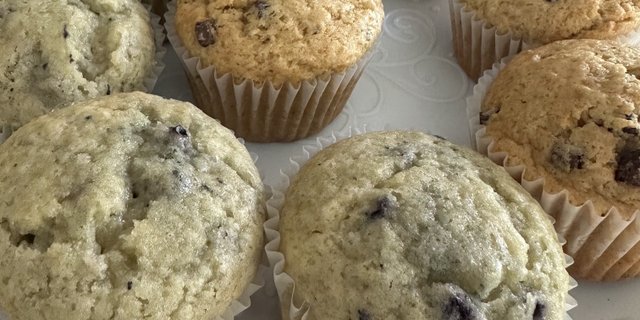 Mid-Size Cupcake Dozen