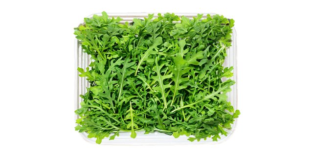 Arugula Tray