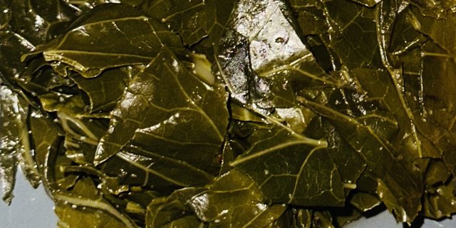 Collard Green
