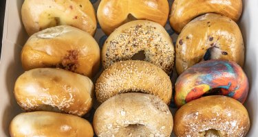 Homewood Bagel Company