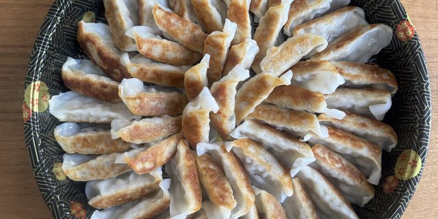 Pork Gyoza Platter