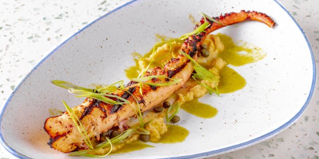 Grilled Octopus