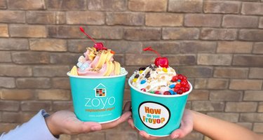 Zoyo Neighborhood Yogurt Catering in Troy, MI - 3067 Rochester Rd
