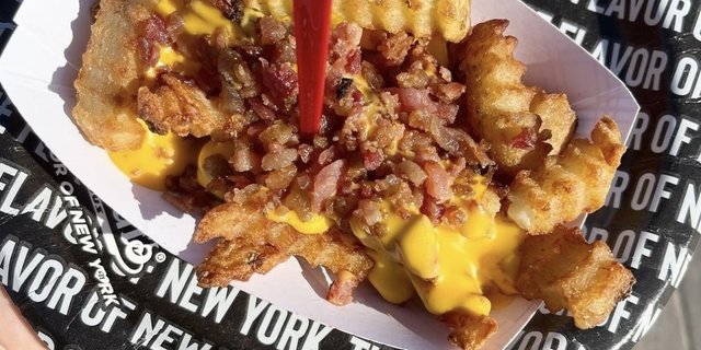 Bacon Cheese Fries