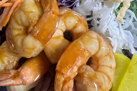 Teriyaki Entrée