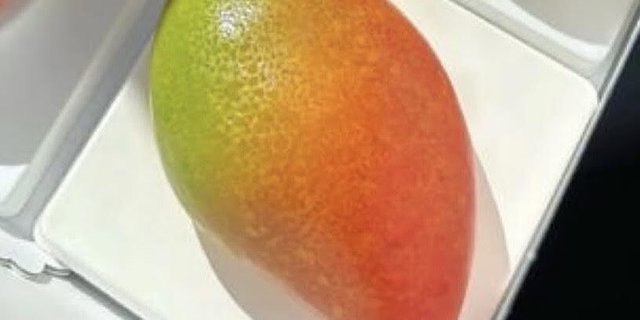 Little Greek Mango Dessert