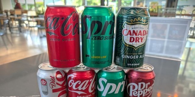Assorted Individual Sodas