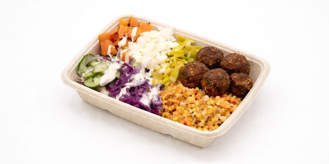 Falafel Plate