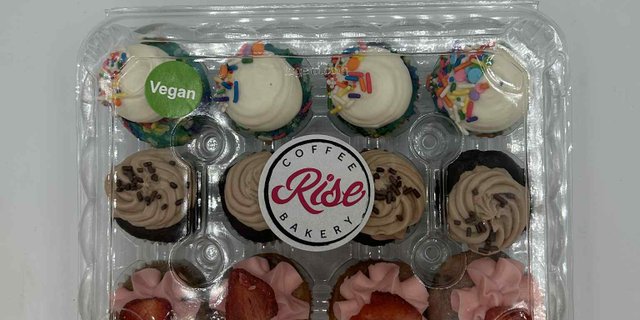Vegan Mini Cupcakes (12)