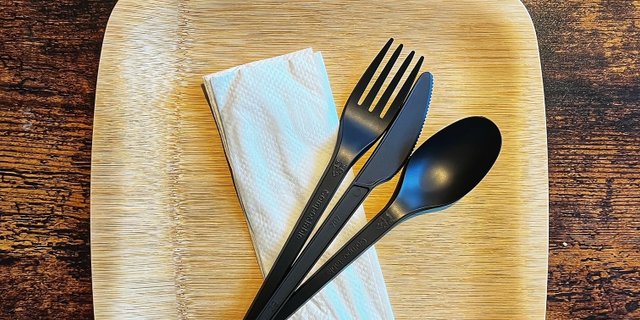 Compostable Plates