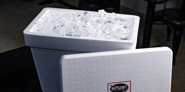 Disposable Ice Chest & Ice