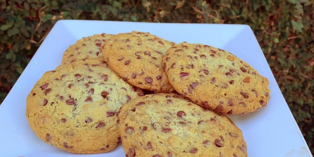 Panini Pete's Famous Mini Chocolate Chip Cookie Tray