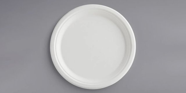 10-Pack Plates