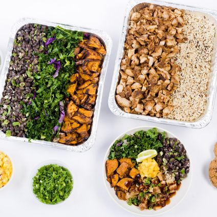 Group Protein Bowl Bundle
