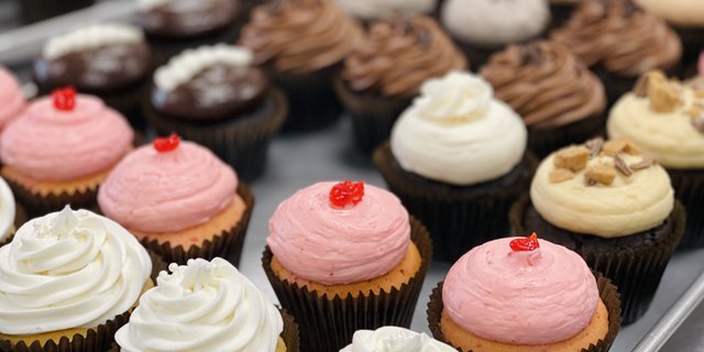 Four Dozen Assorted Cupcakes