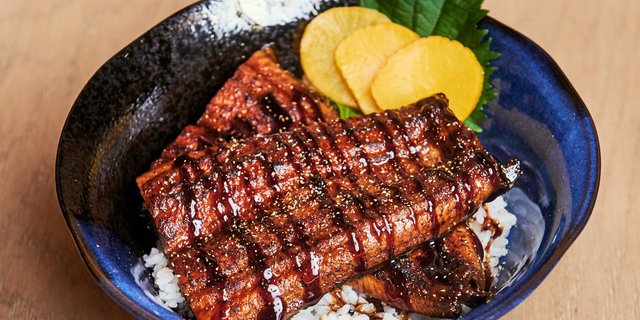 Unagi Don