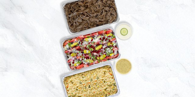 Gyro Platter