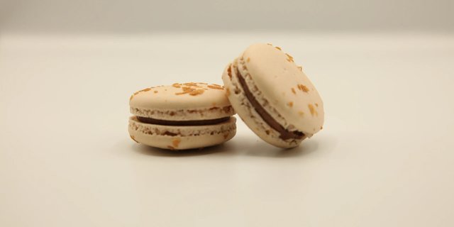 Hazelnut Macaron