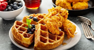 Adrienne's Wild Wings+