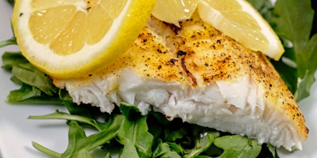 White Sea Bass